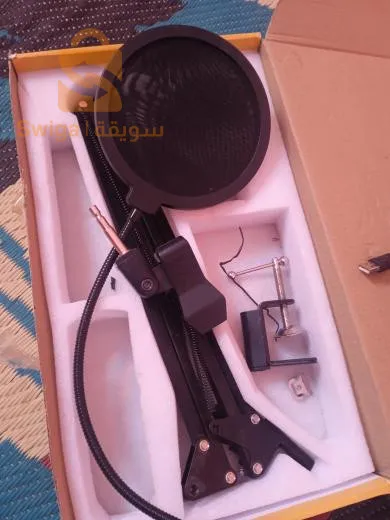 Microphone