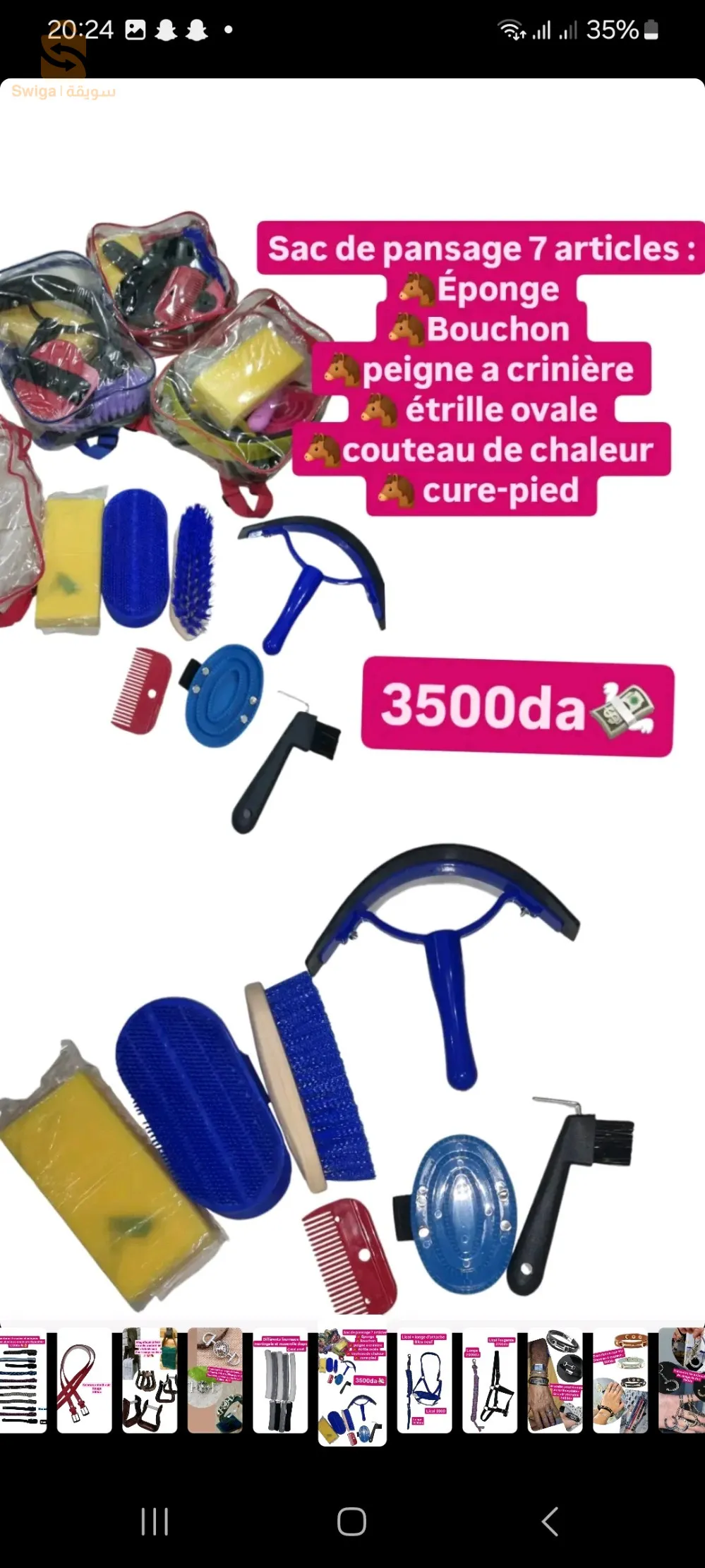 مستلزمات الفروسية / الاحصنة