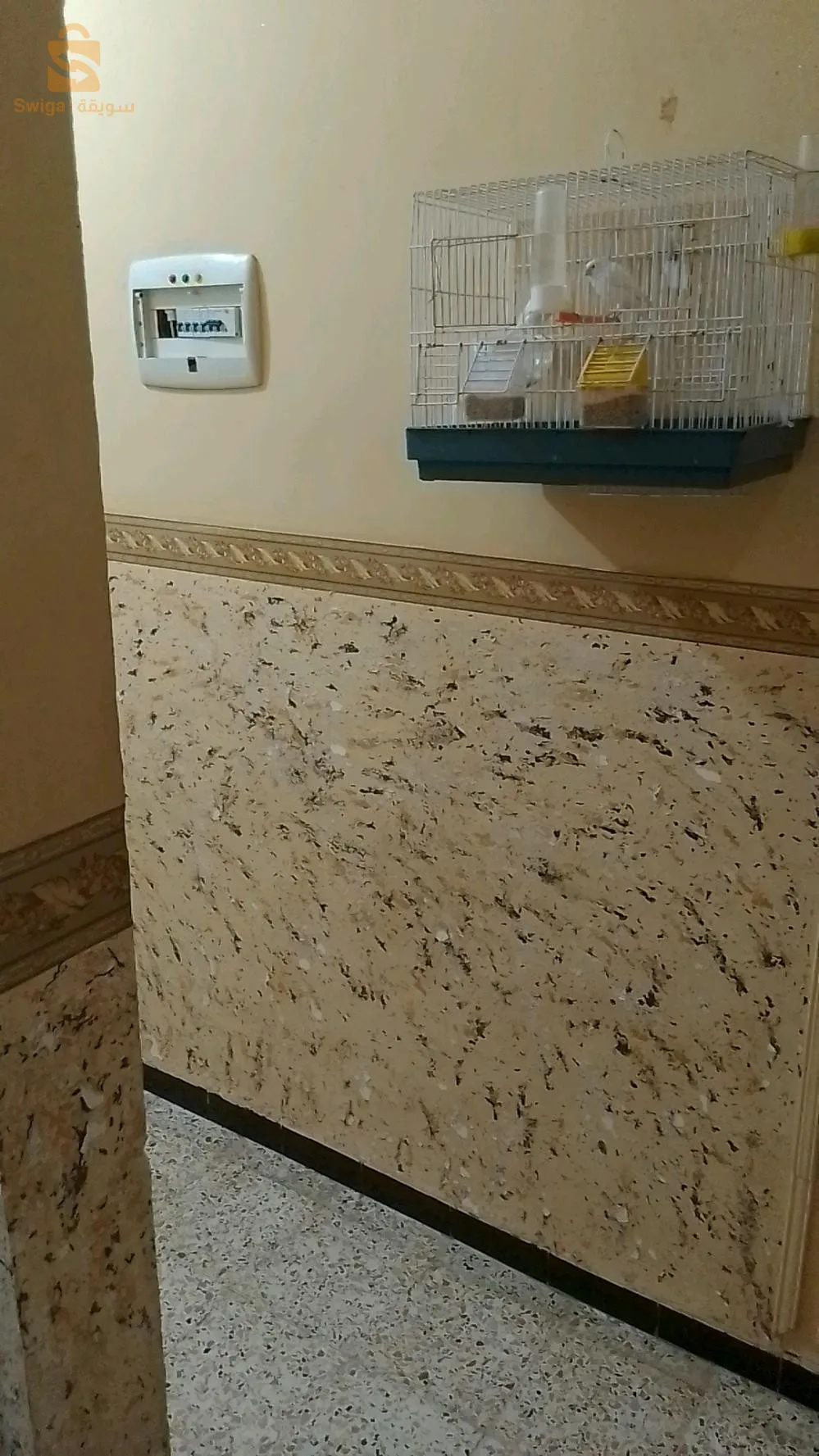 حي بحرارة