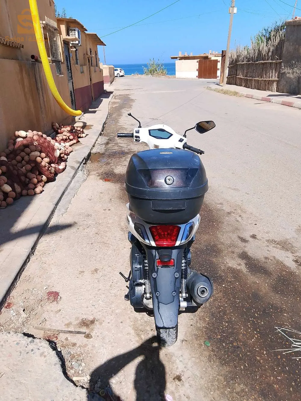 vms جديدة