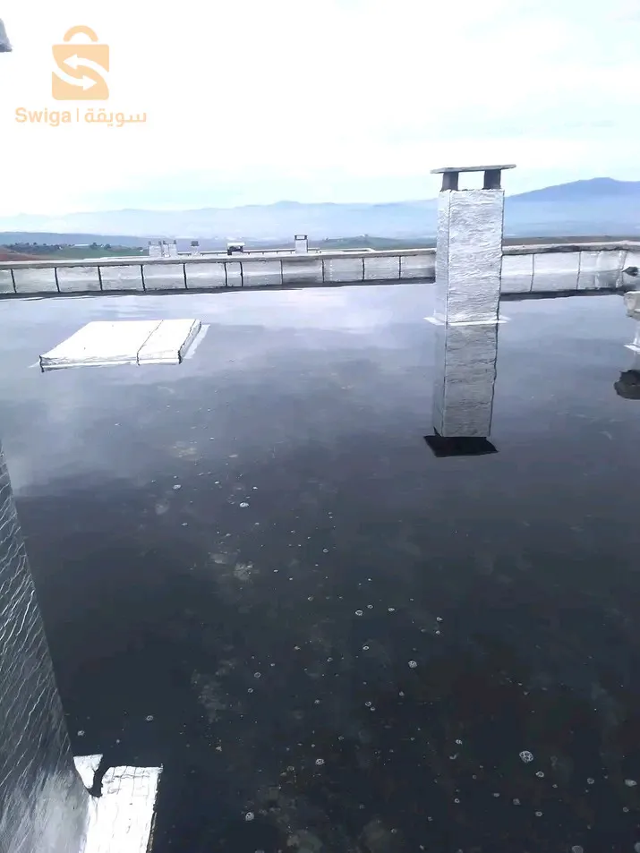 قسنطينة قسنطينة