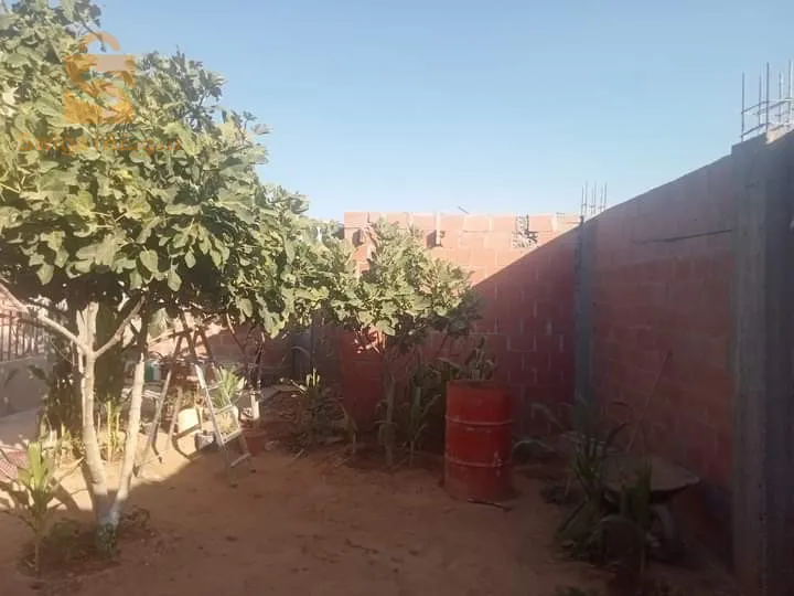حي عوماري عبد العزيز ششار والآية خنشلة