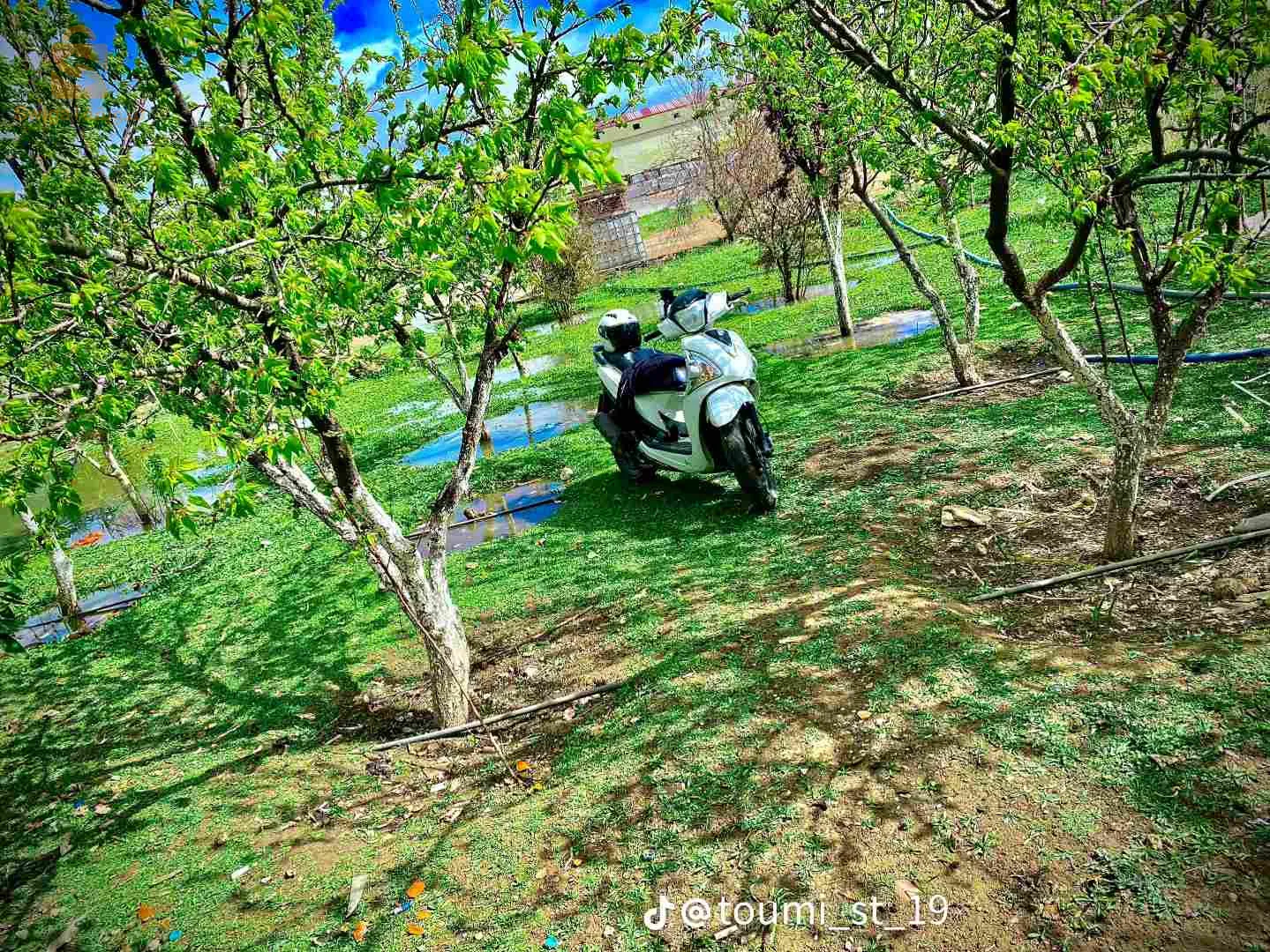 Setif (sell sym st bike)