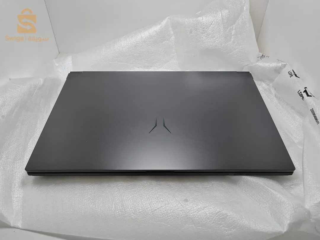 Medion Erazer Crawler E30e