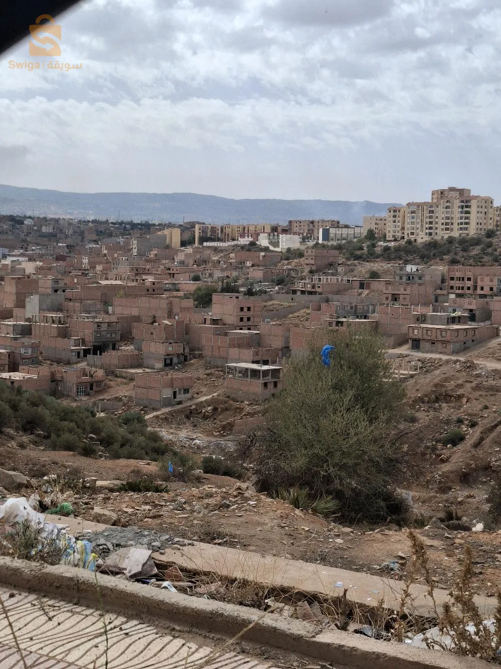 اوجليدة تلمسان