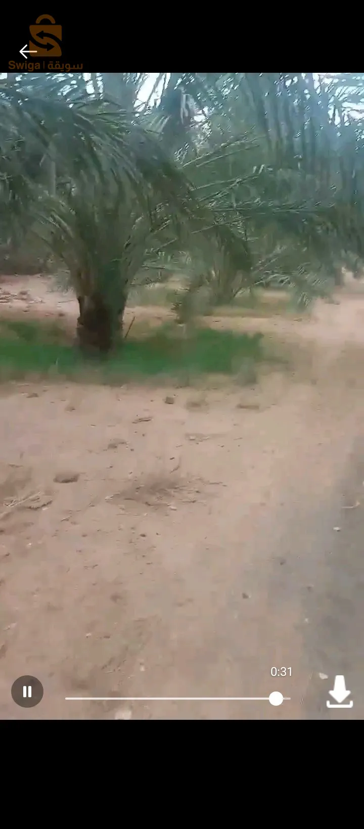 ام الجياف ولاية اولاد جلال