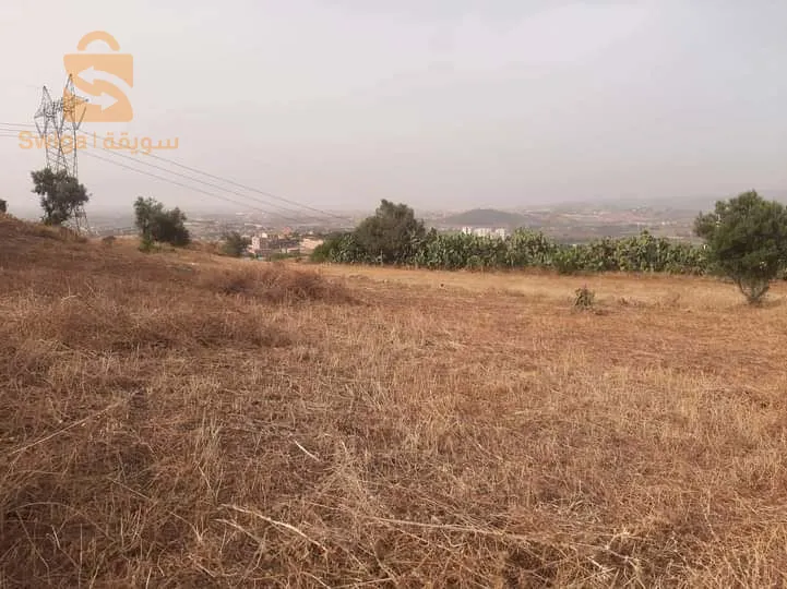 اراضي صالحة للبناء