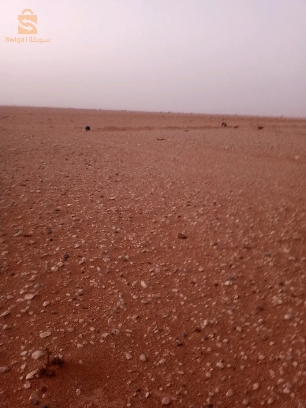 القطاع ولاية اولاد جلال
