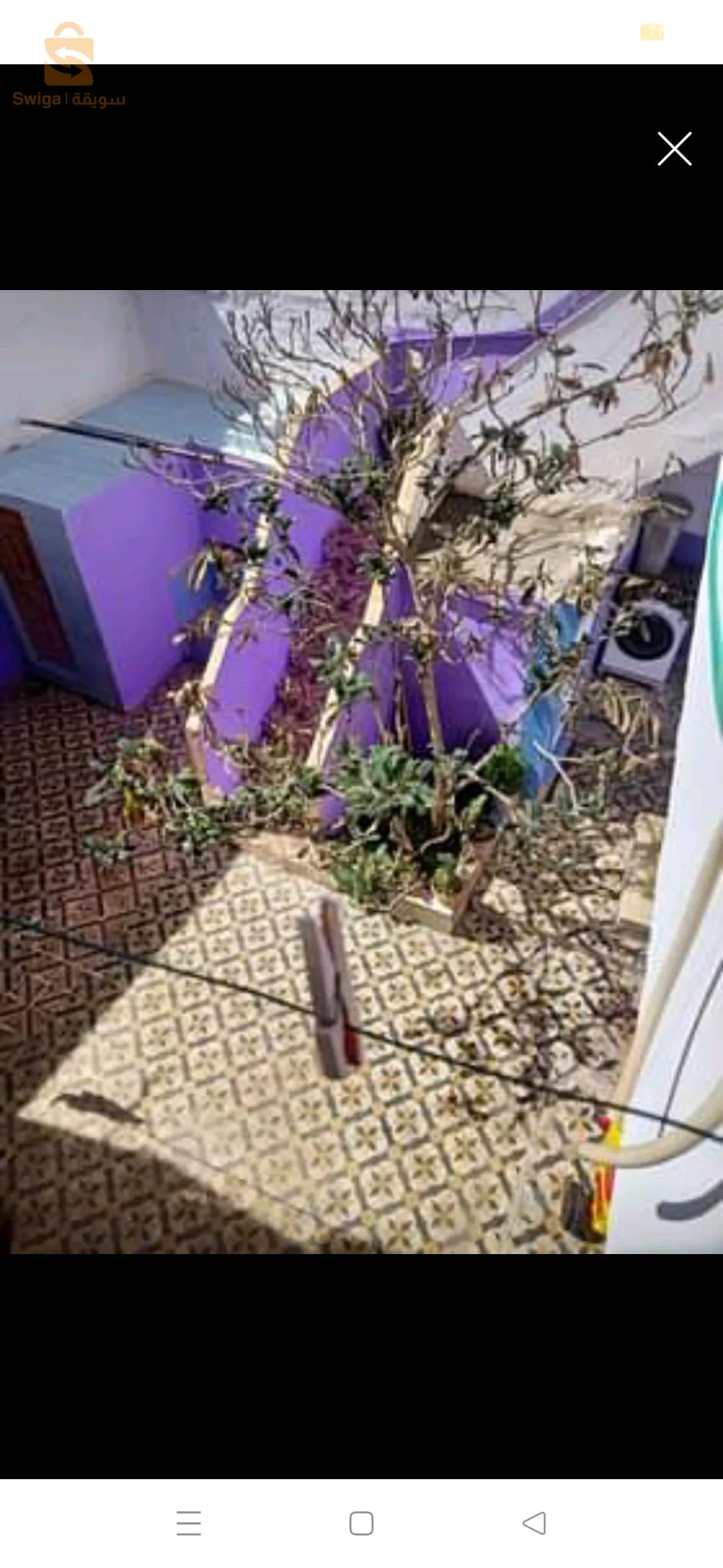 شباط الفوقانية بلونتار