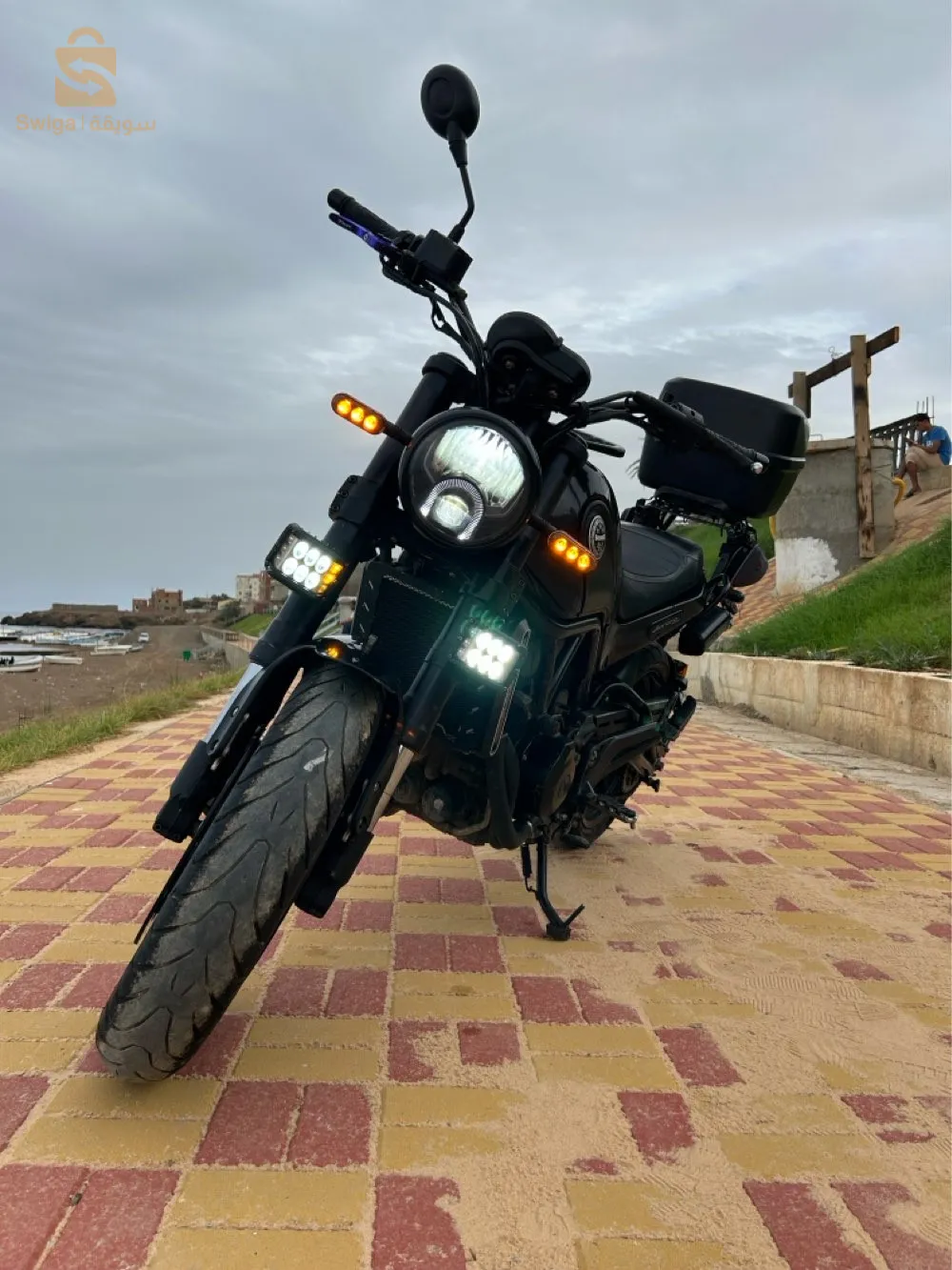 benelli leoncino 500