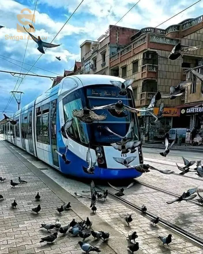 A vendre 
F3 de Haut standing a fort de l'eau centre 
0770 55 98 19