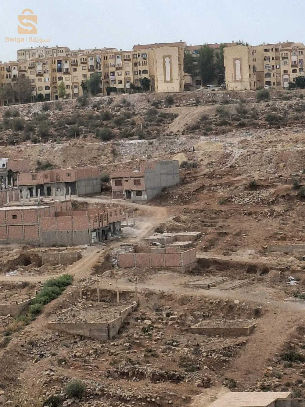 تلمسان