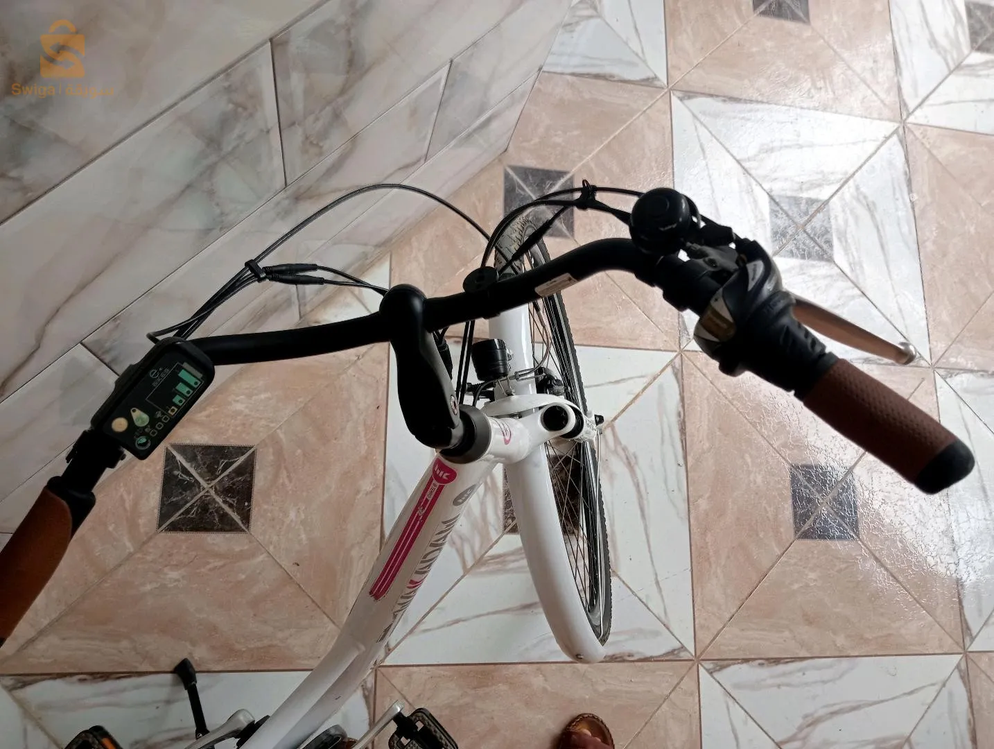 جديوية ولاية غليزان