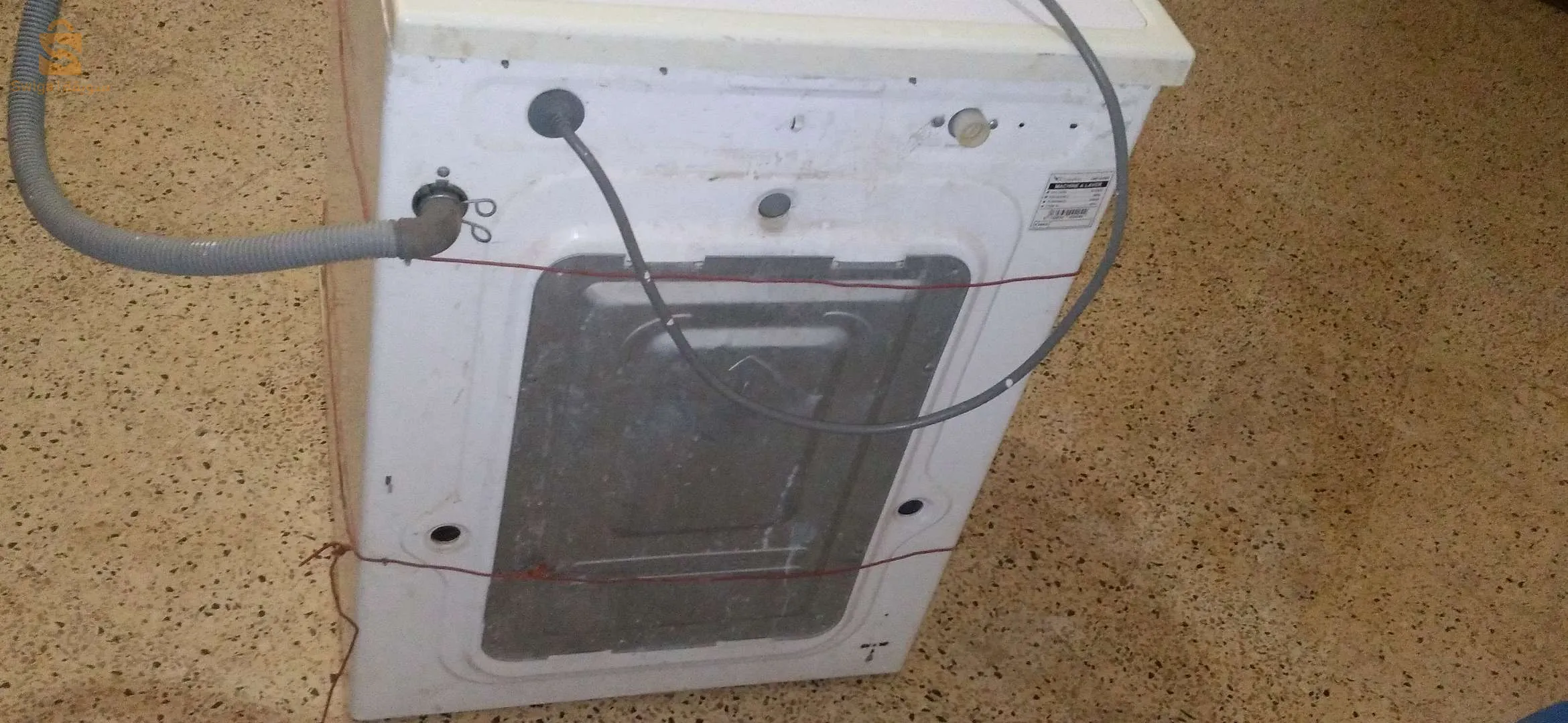 M1CHIN LAVI CONDOR  8kg