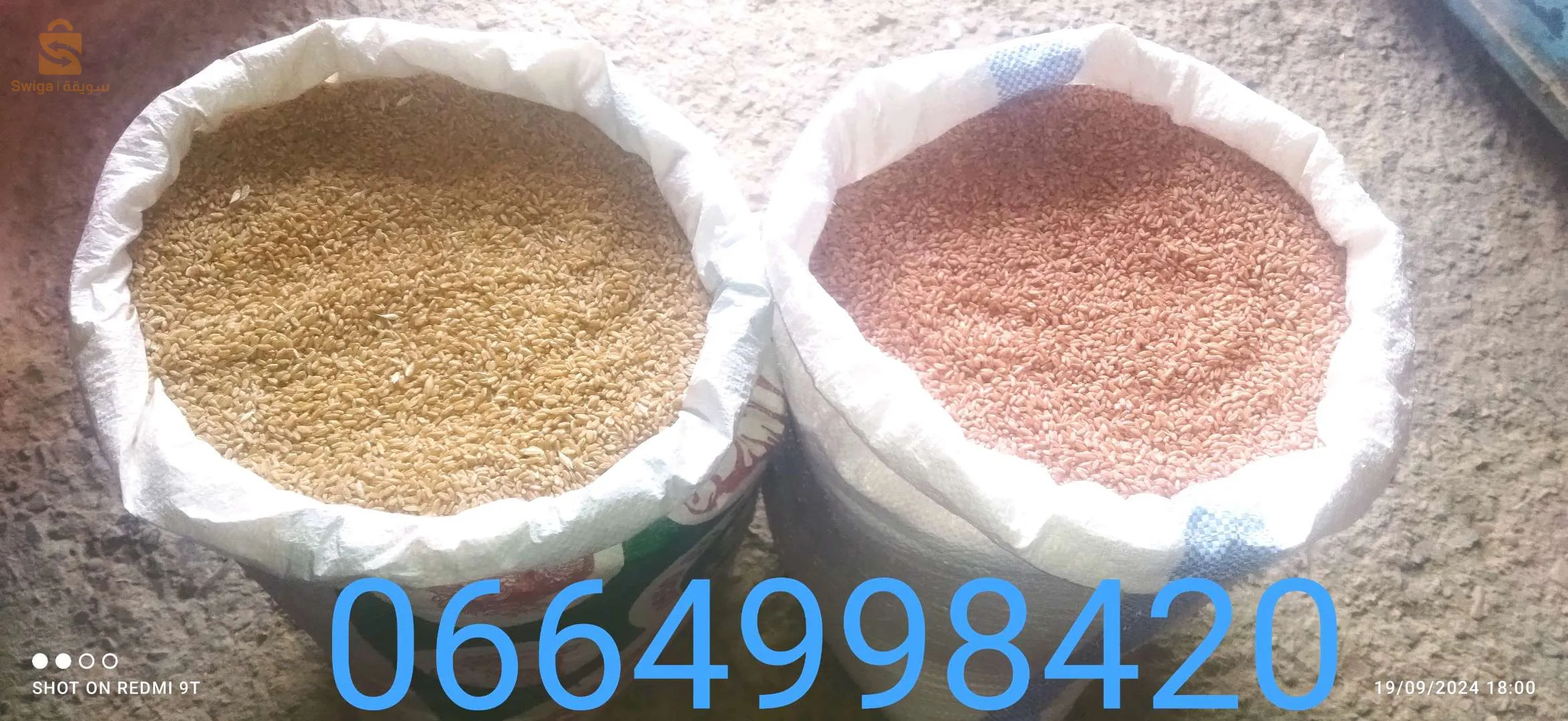 بلدية حرازة
