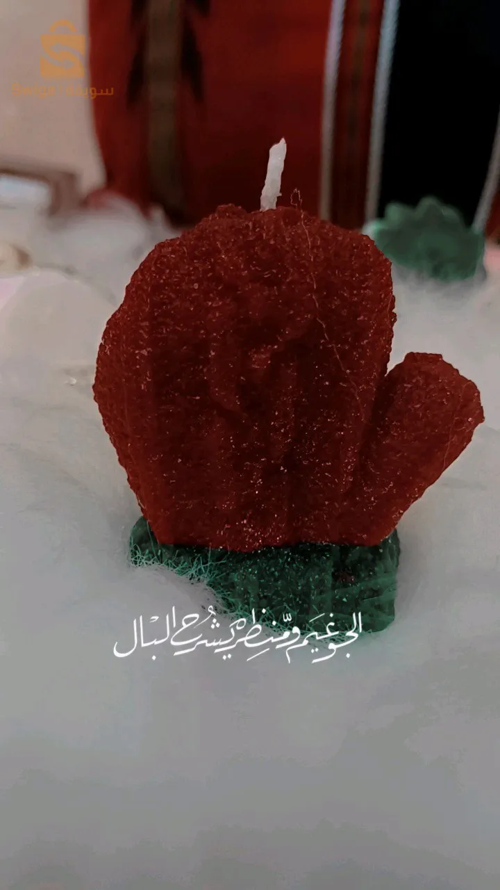 الكاليتوس