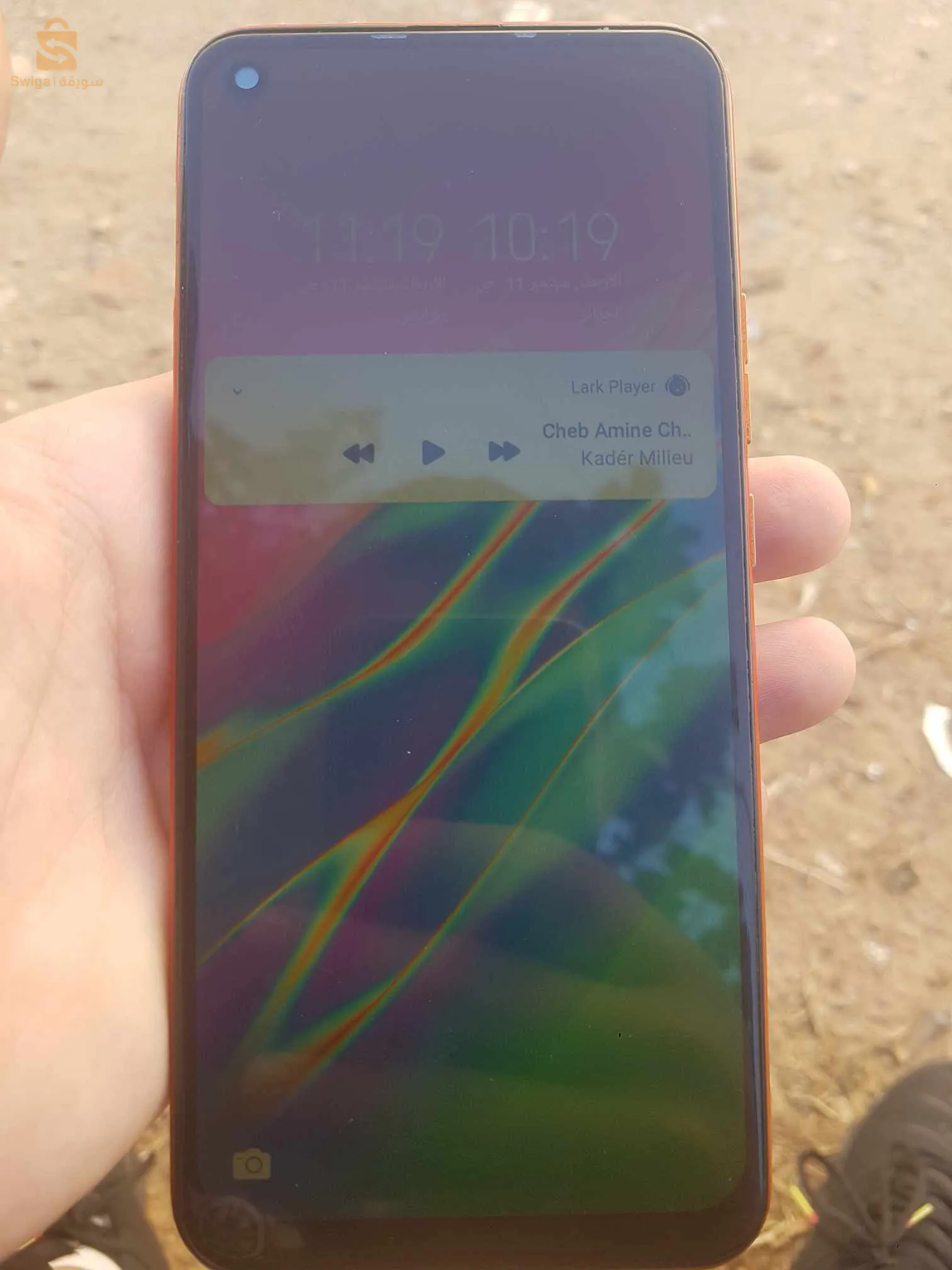 تيارت