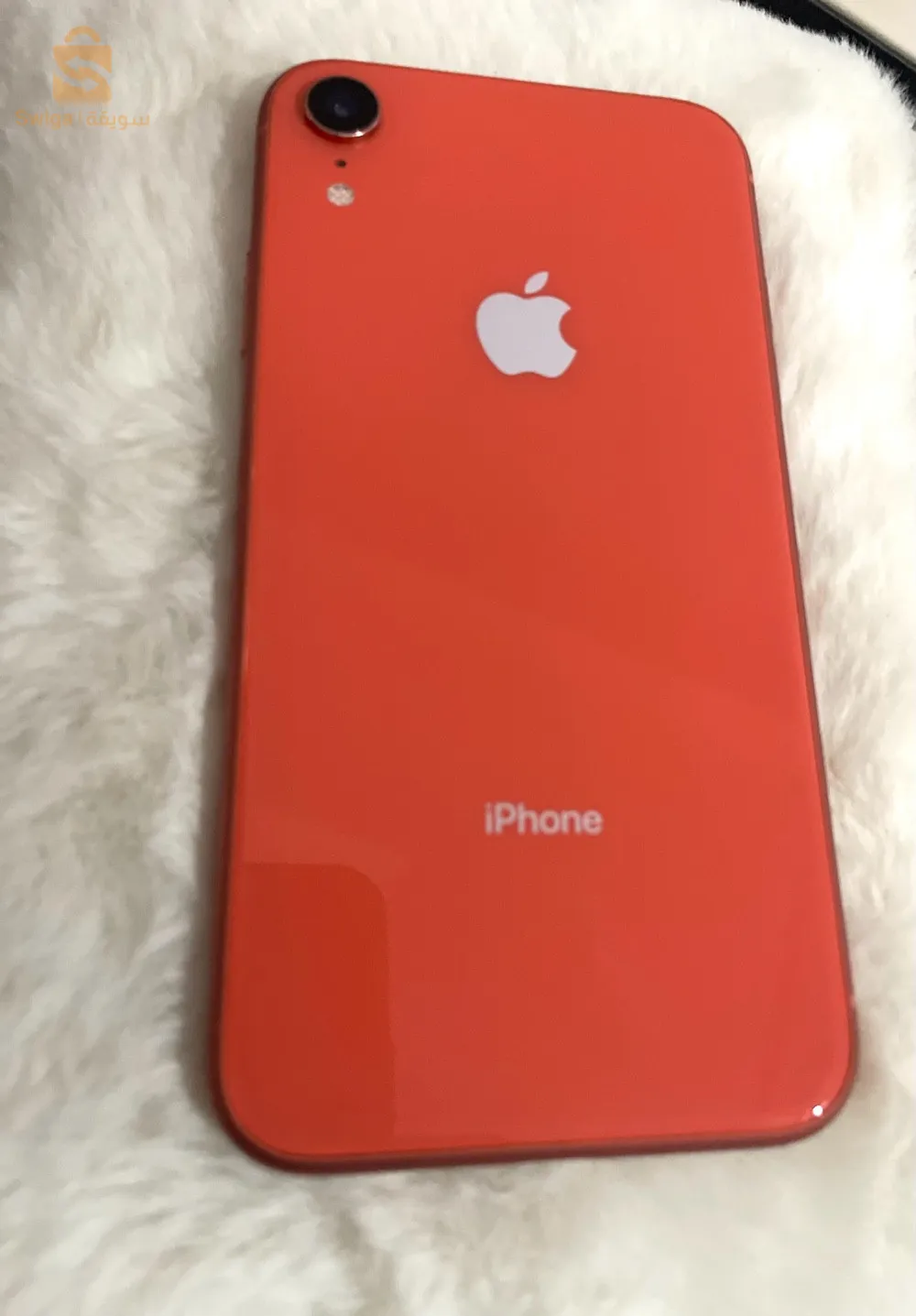 xr😻