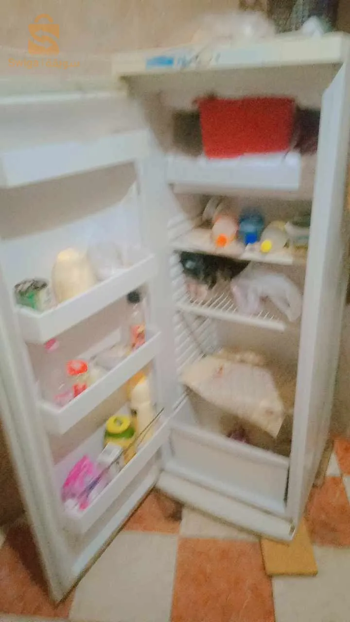 فريجيدار وغسالة