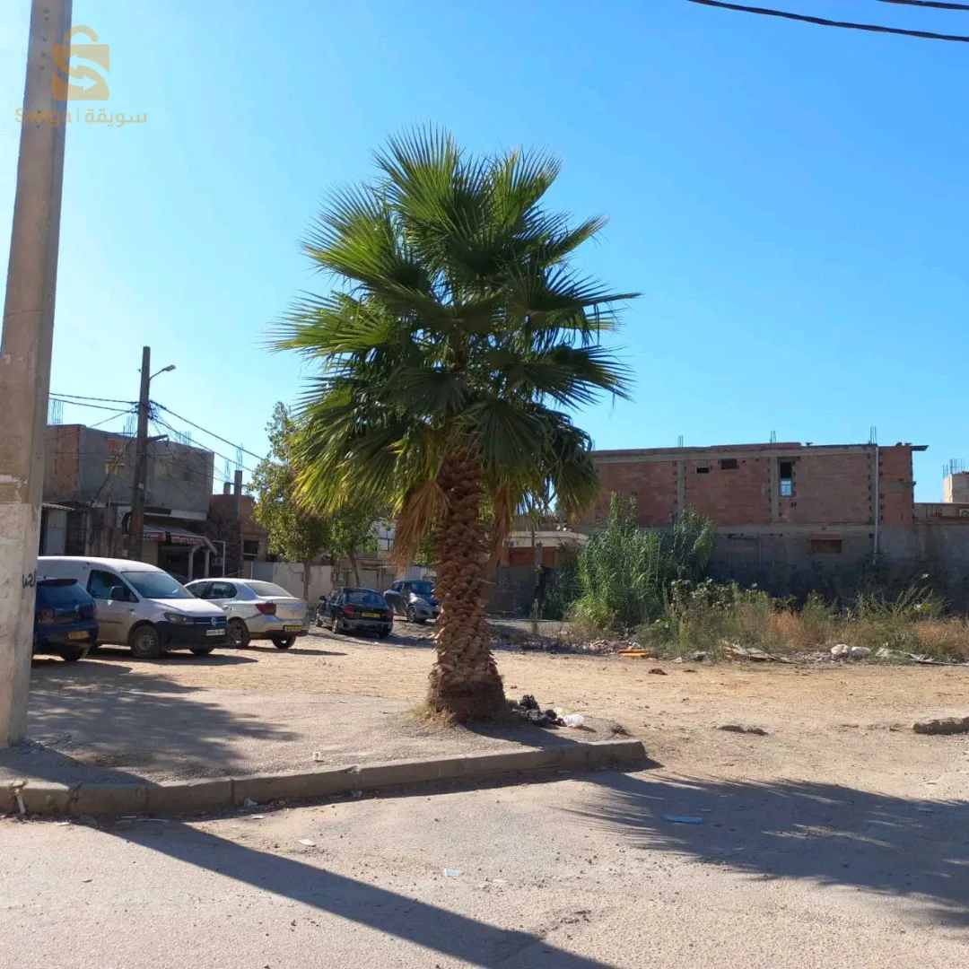 جبتلكم لافار شابة  قطعة ارض في براقي حي دار بوز فيها حوالي  500م فيه  3فصادات
بلاصة تجارية بإمتياز الوثائق عقد ملكية للإستفسار يرجى اتصال 
0555860995
0666694132