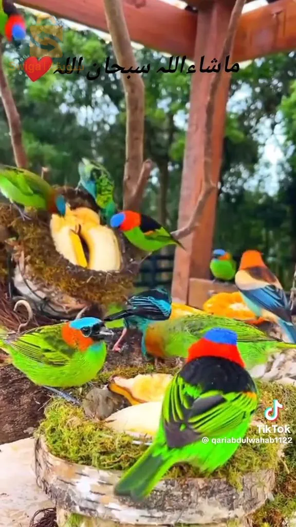 مرحبا بجميع متابعين الحساب  أقدم لكم محاضرة  فرصة عمل أونلين  لتسويق منتجات كوسميتيك ومواد تجميل للتعرف علينا   تواصلو معي عبر رابط تلغرام..............