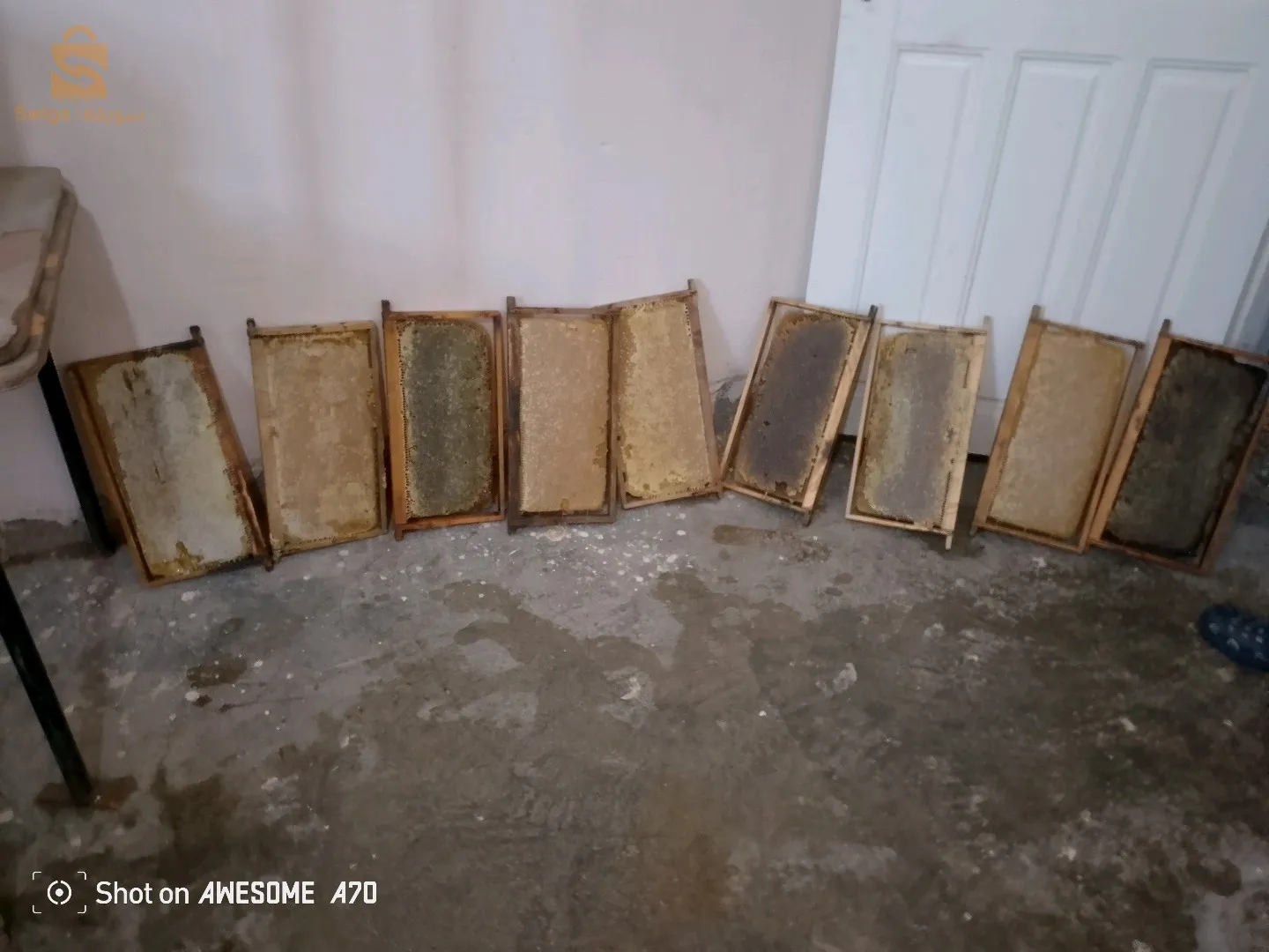 عسل حر من انتاج مناحل بلعمش