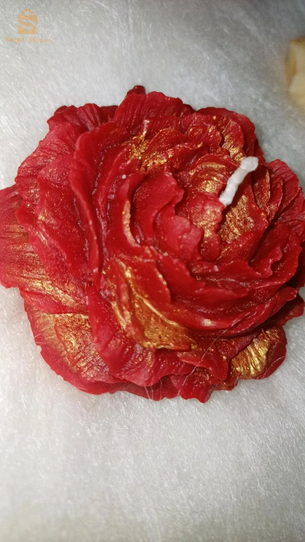 الكاليتوس