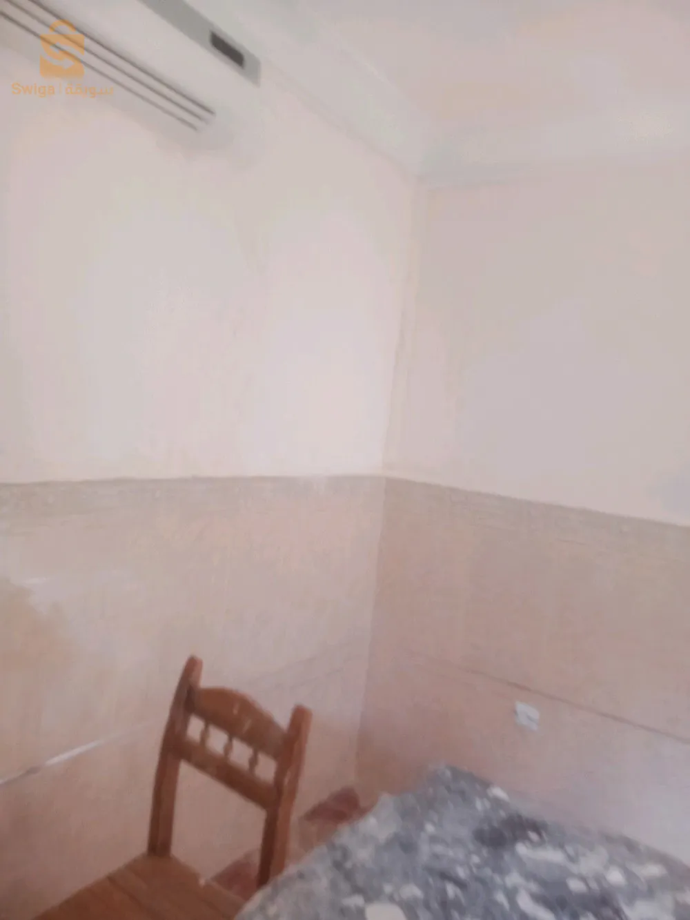 فن الصباغة