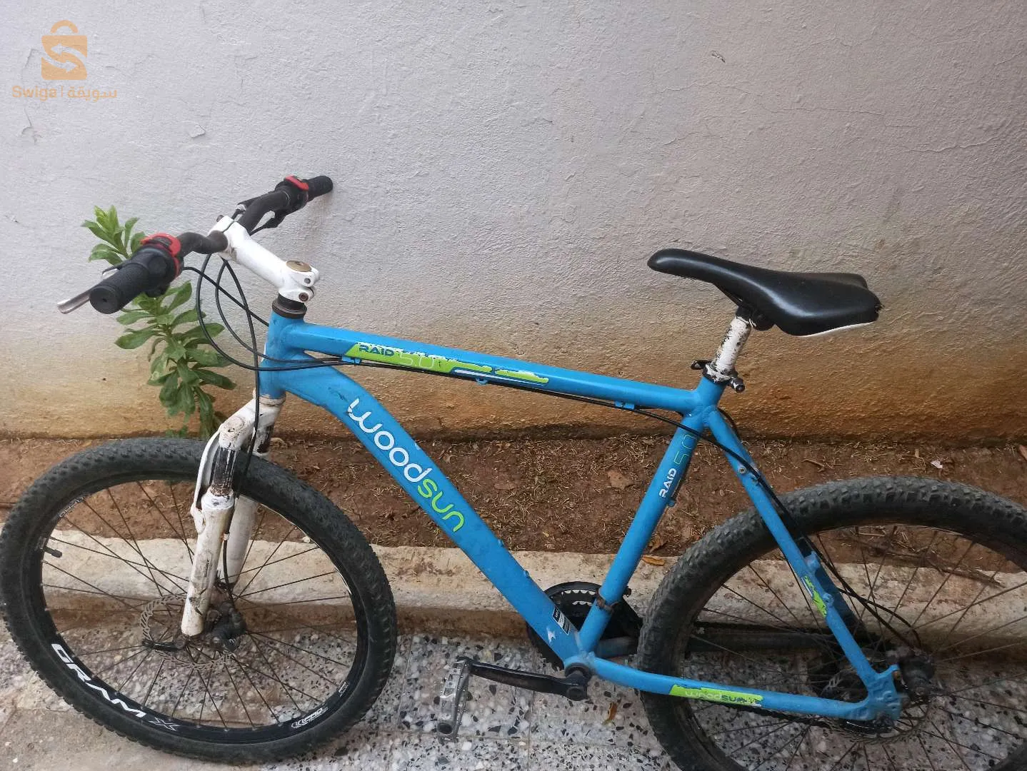 vélo woodsun