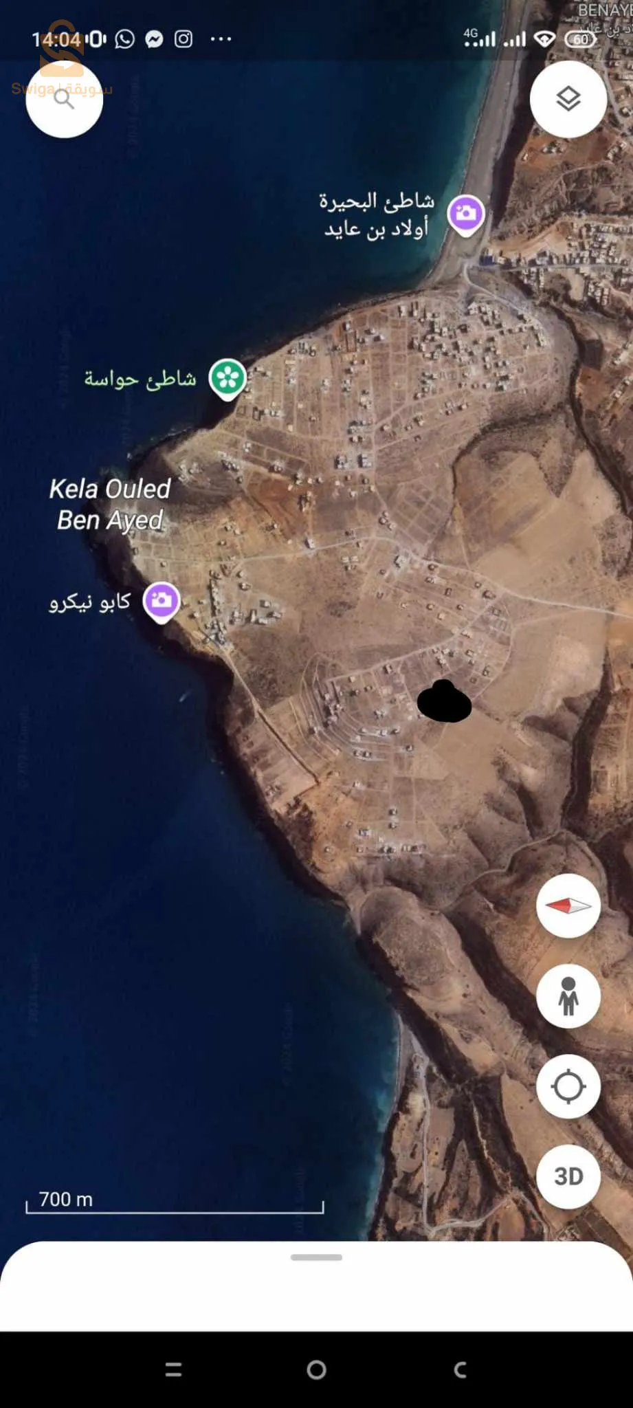 مغنية