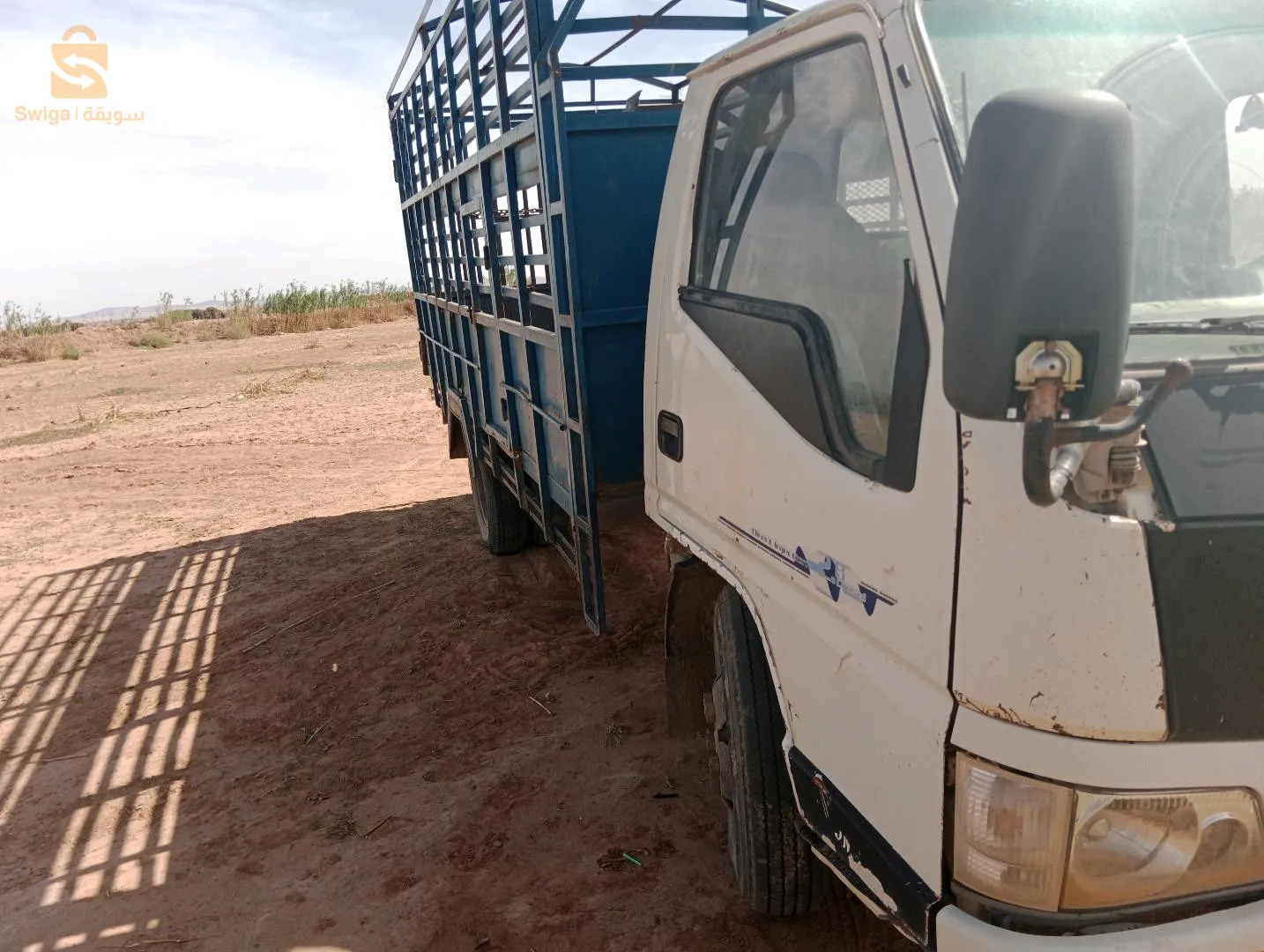 كاميو تاع زوالي