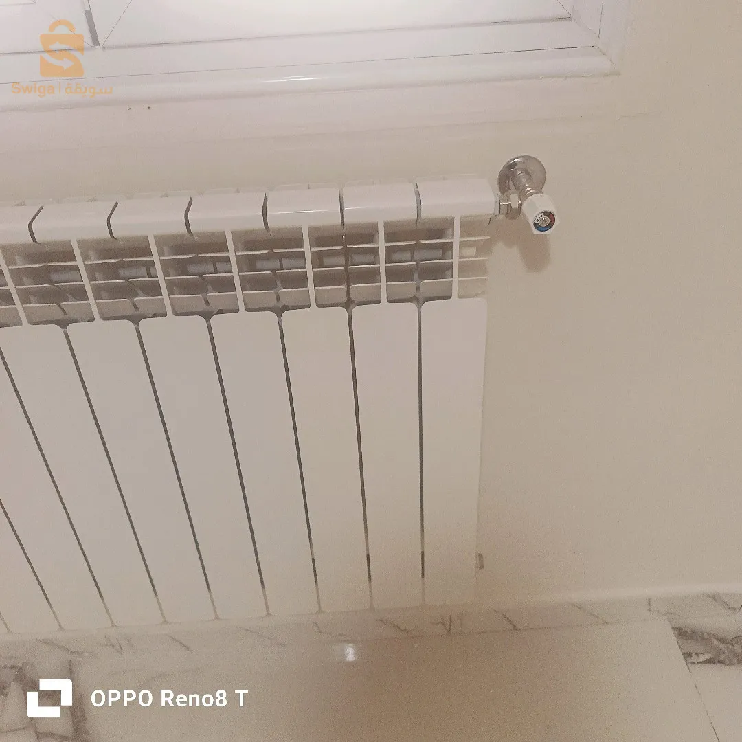 تدفاة مركزية و جميع اعمال الترصيص