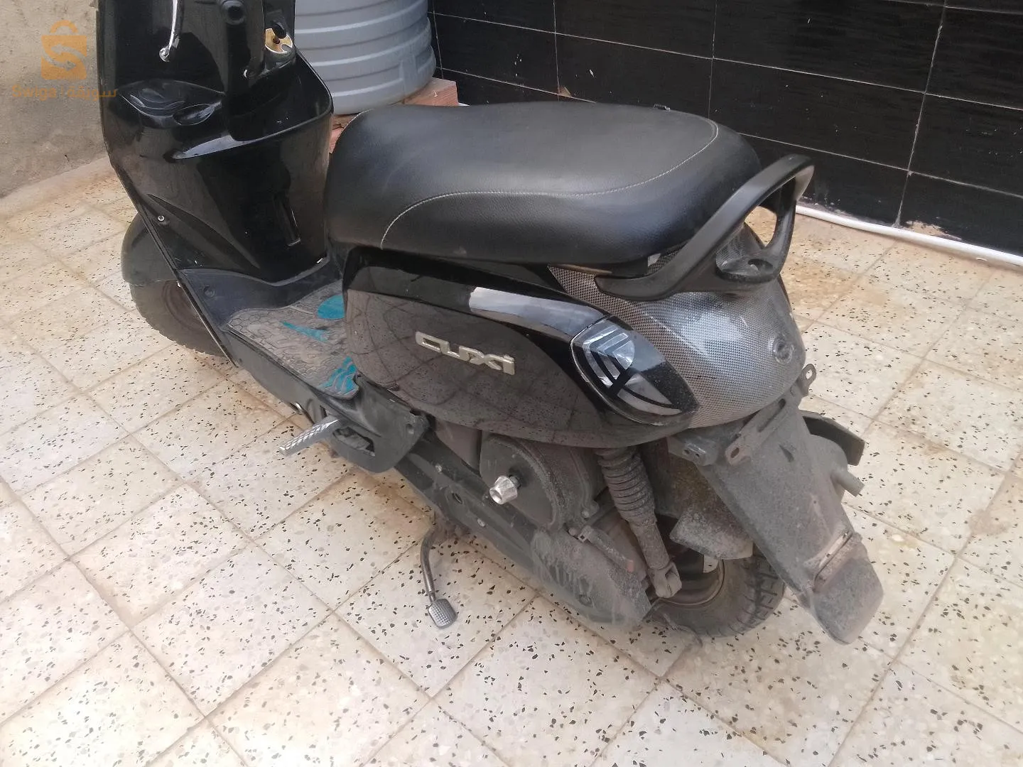 عين الدفلى