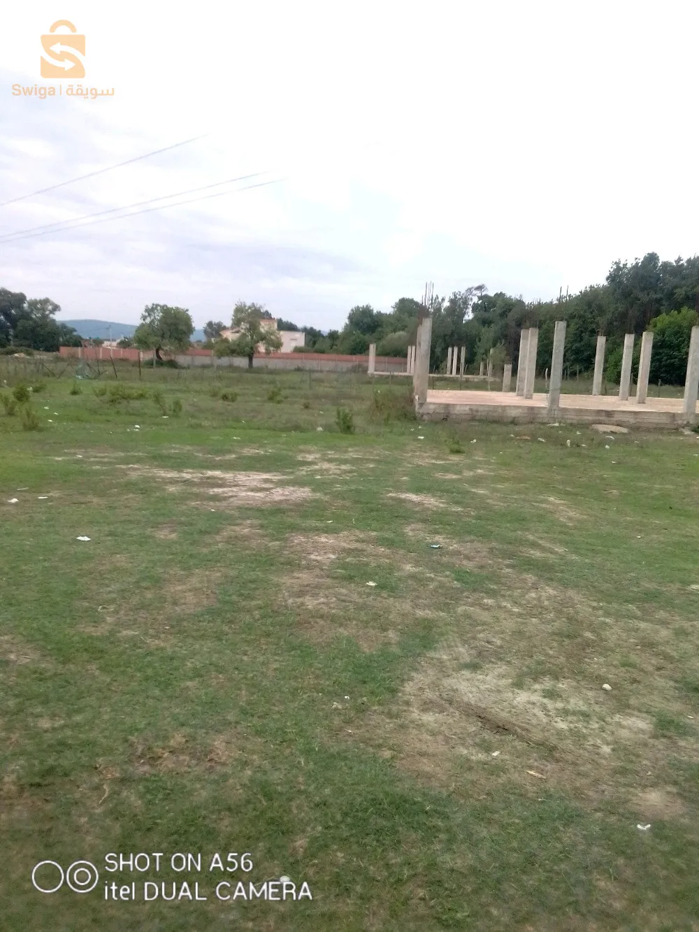 وسيط عقاري شط ولاية طارف 
0666524094