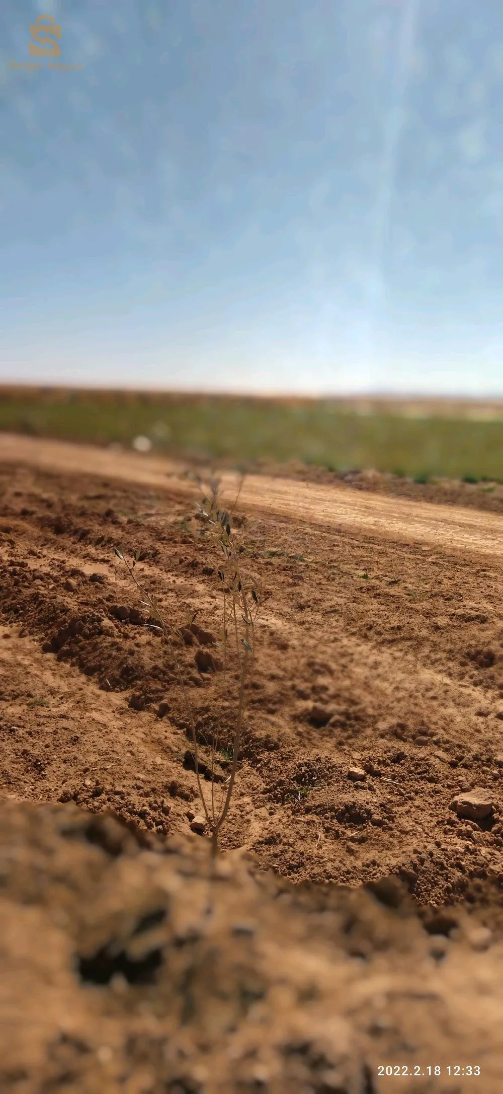 بيع ثطعة ارض في حي اولاد غالية خميس الخشنة بومرداس بدفتر عقاري