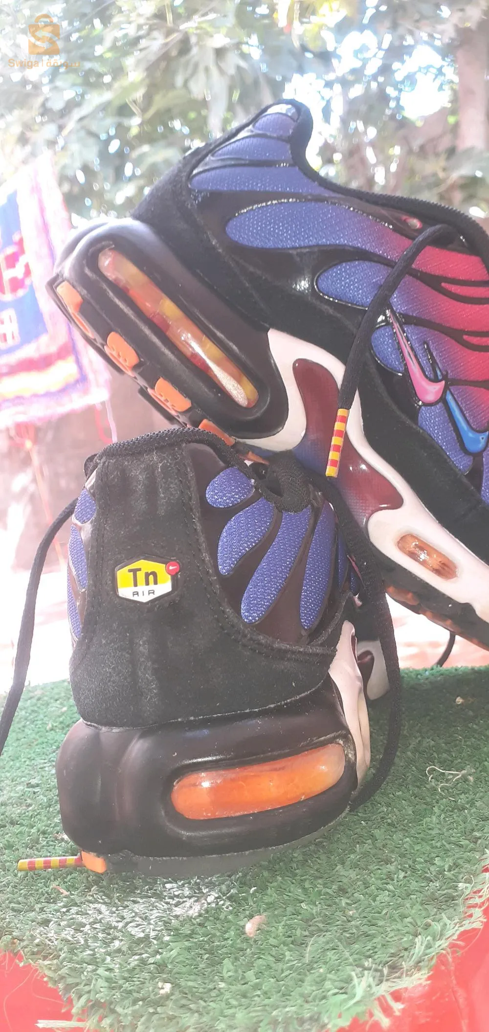 Kastour neighborhood, Aghlal municipality, Ain Temouchent province