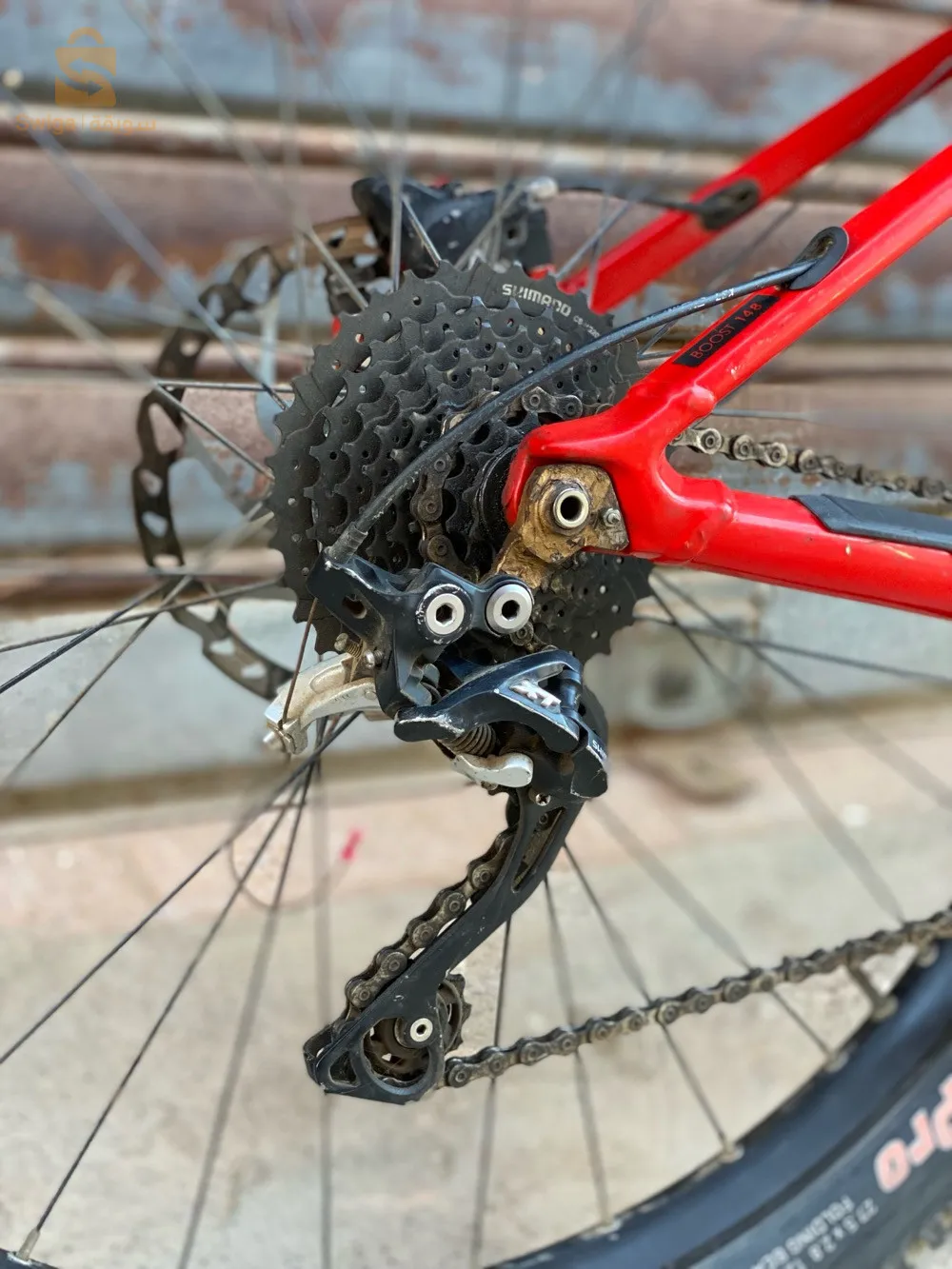 velo orbea électrique