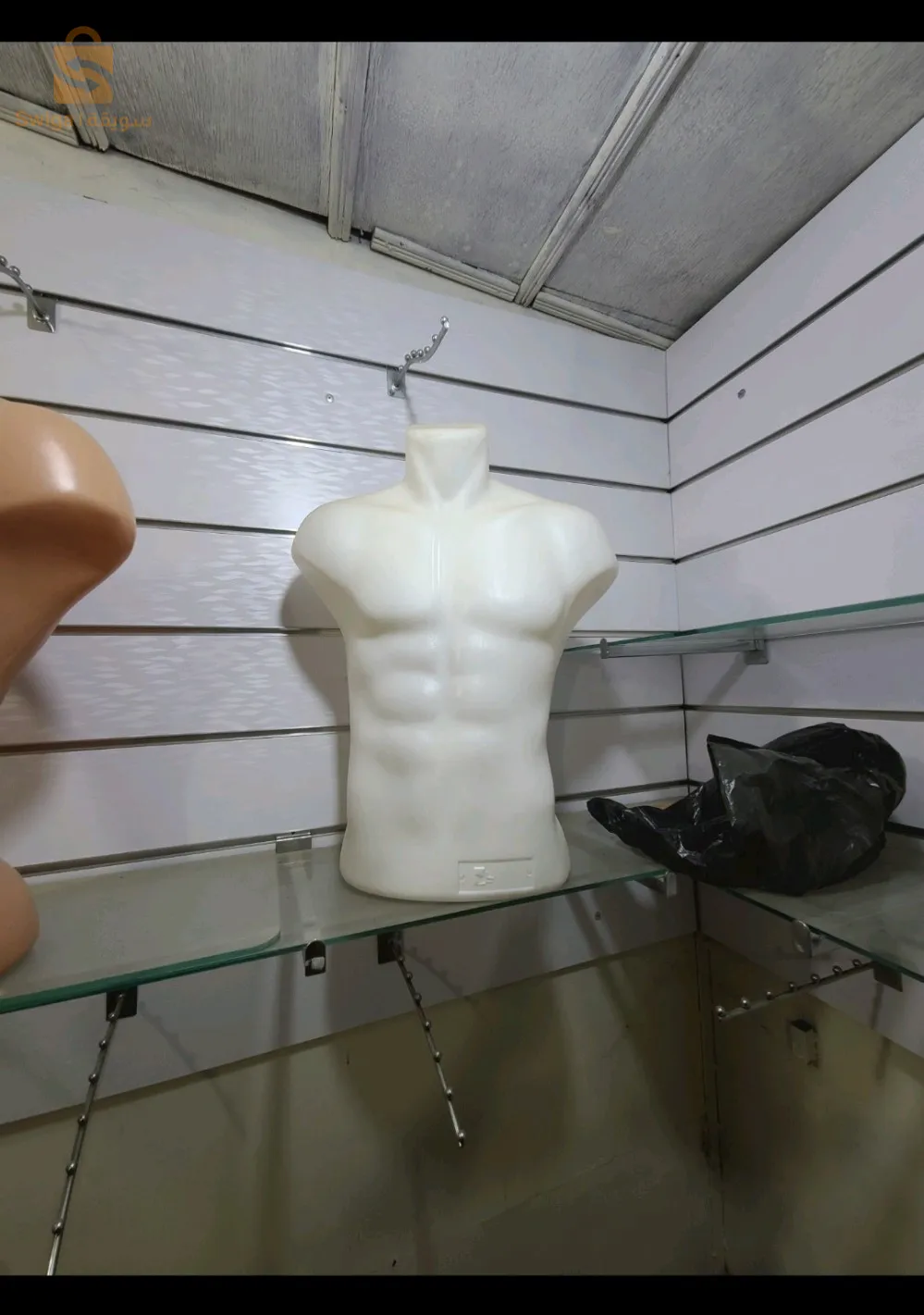 Manquins مانكات