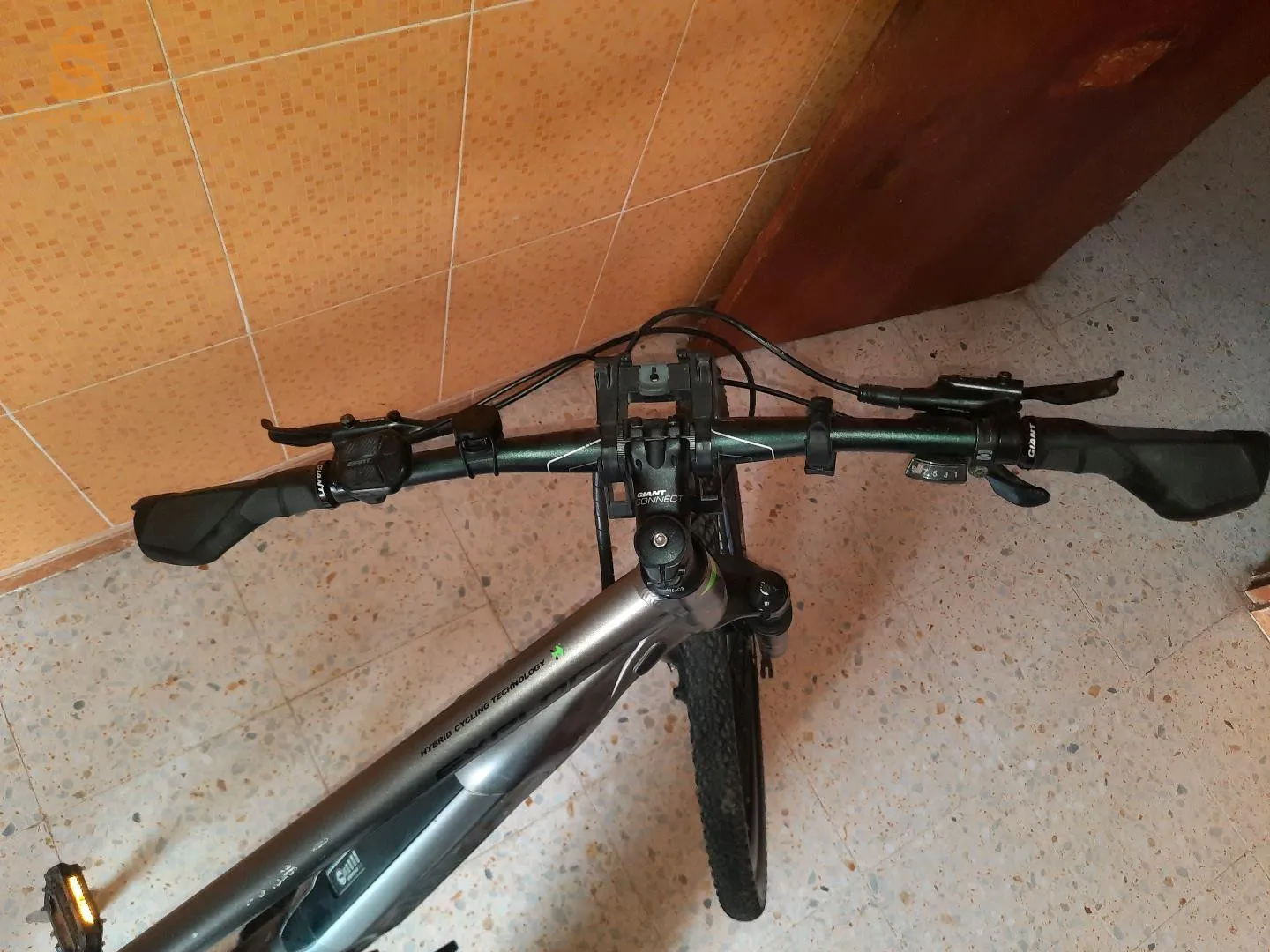بوشقوف قالمة
