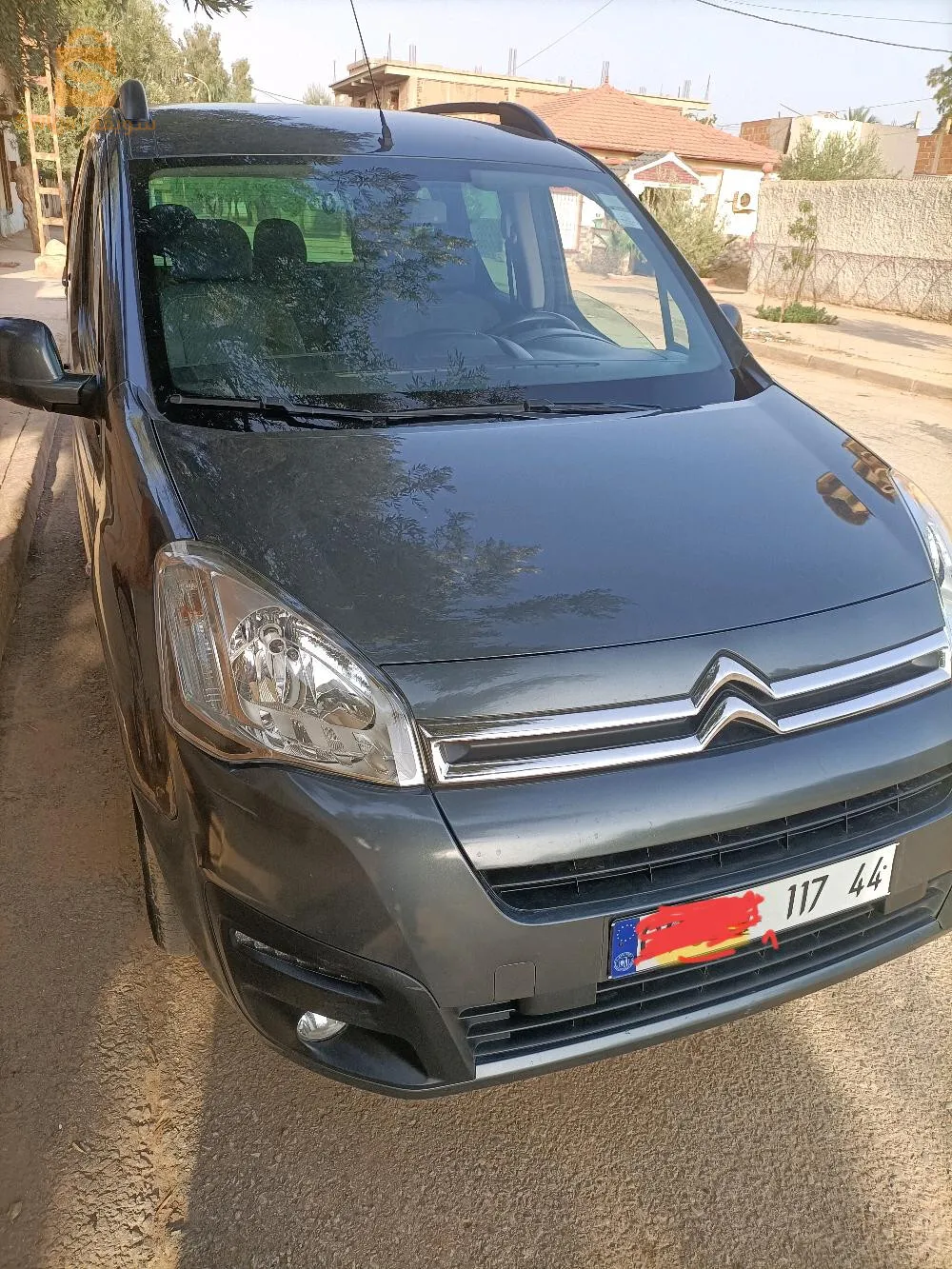 berlingo
