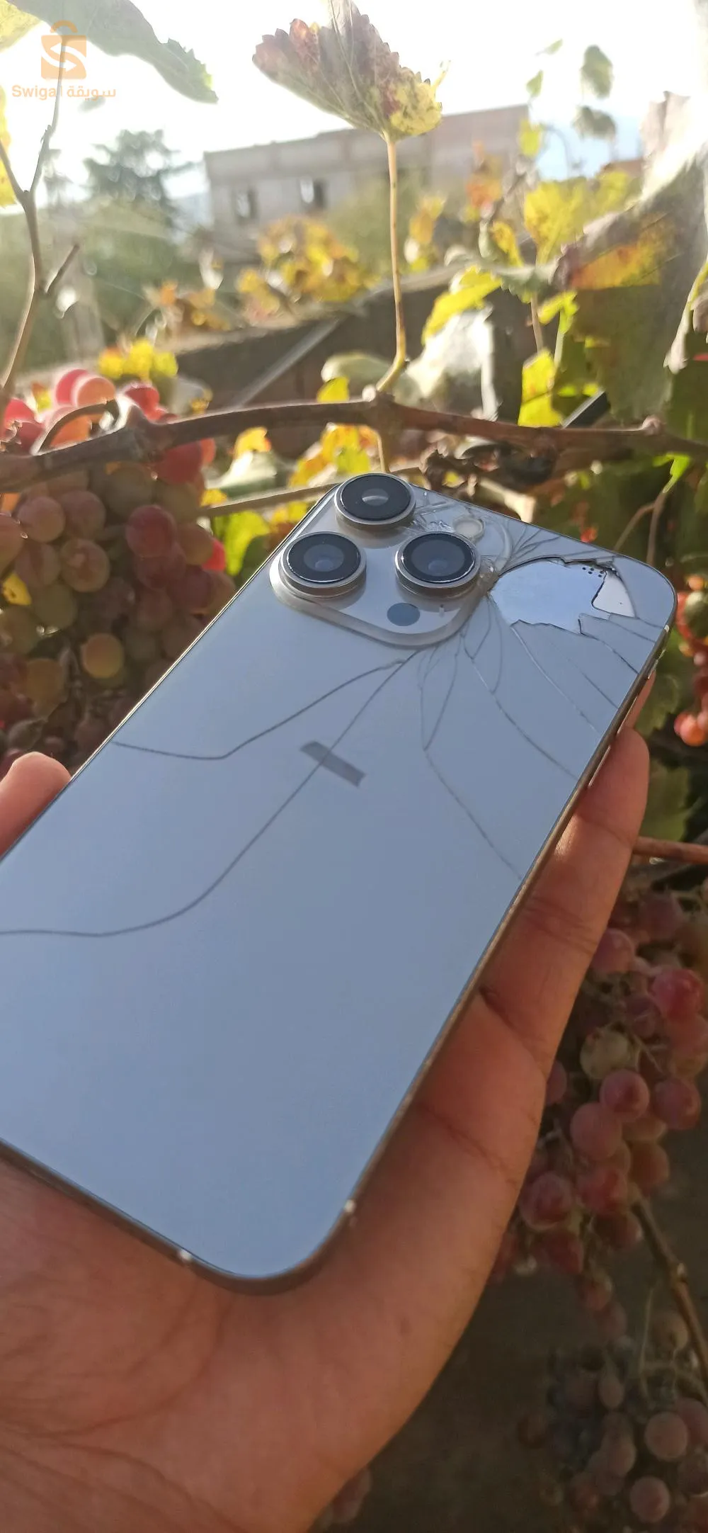 iphone xr dans la coque d'iphone 15 pro