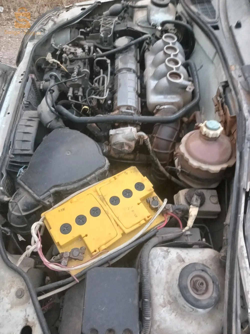 0664 646895