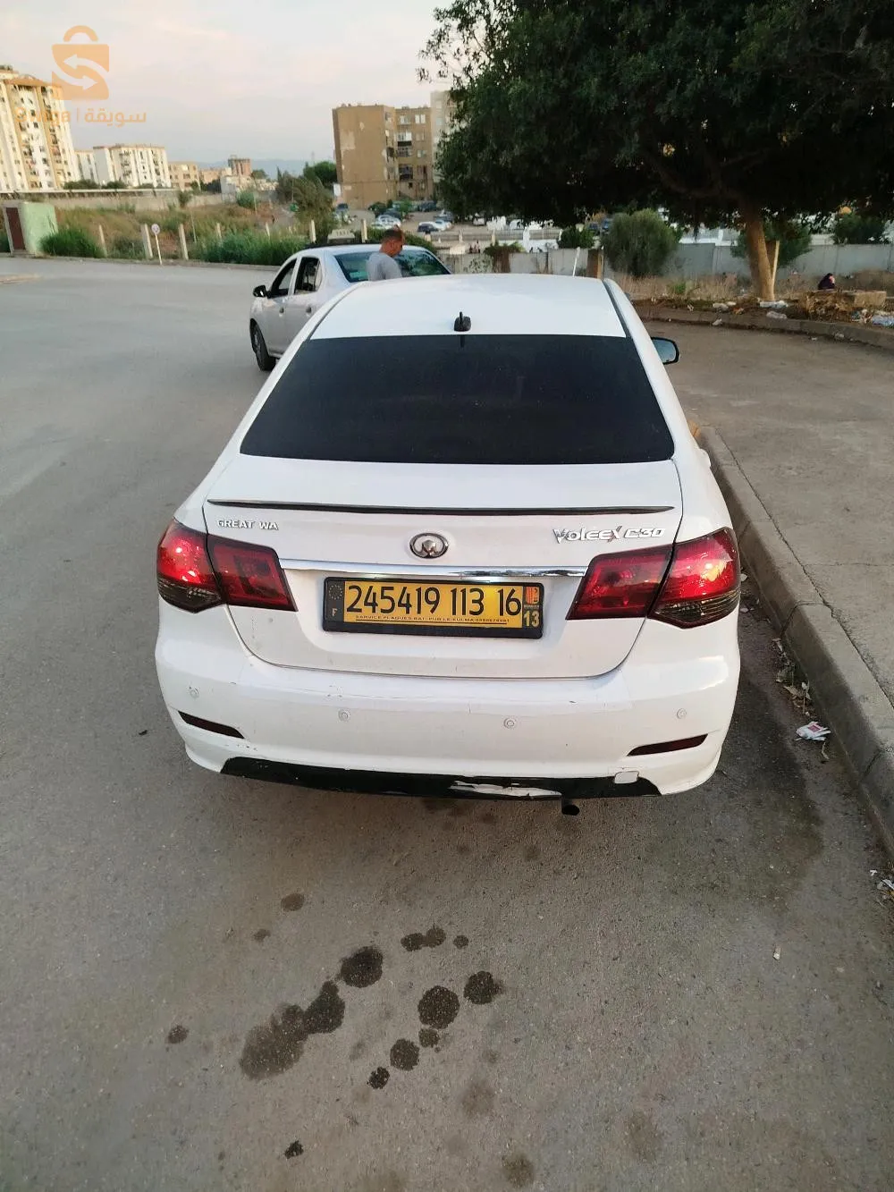 سيارة غريت وال 30