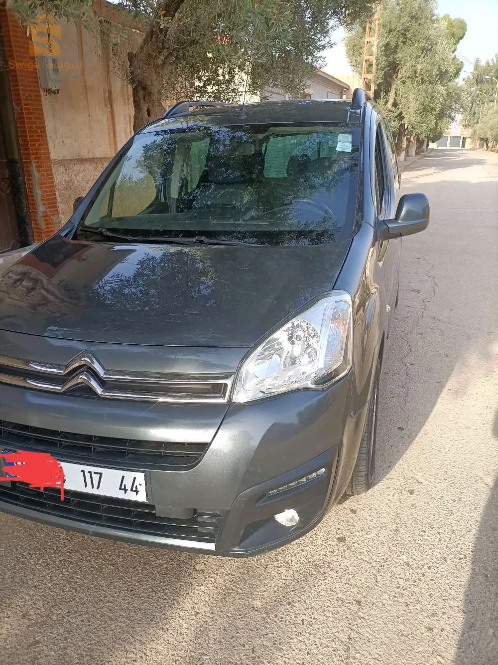berlingo