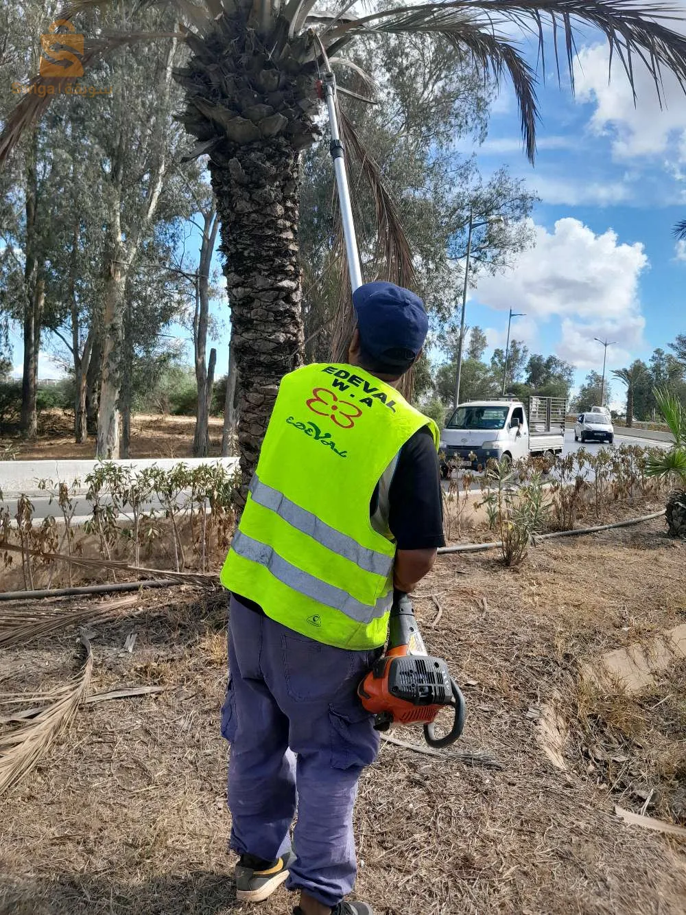 Décoration de jardin