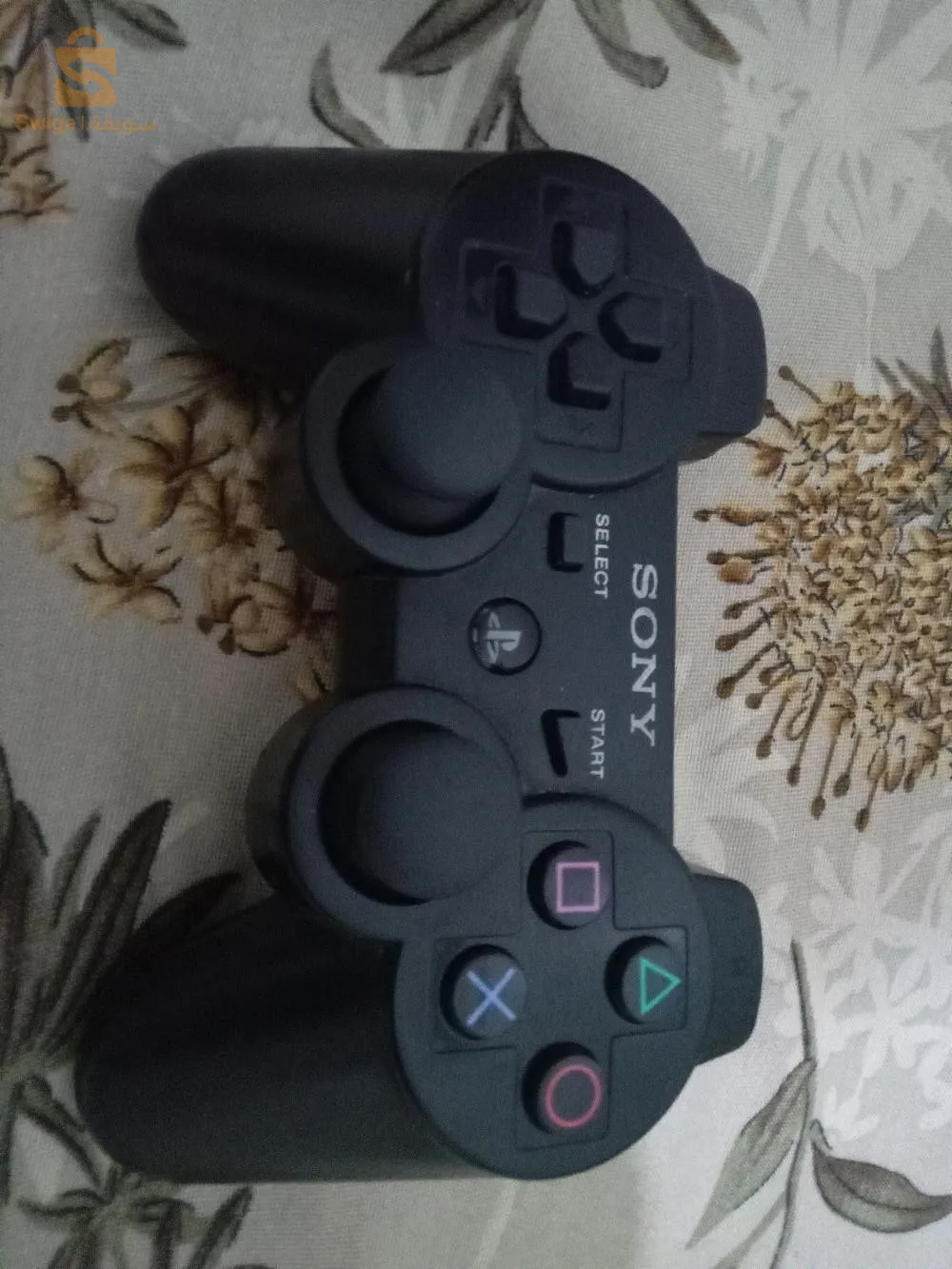 حي شهيد عروش عقيل