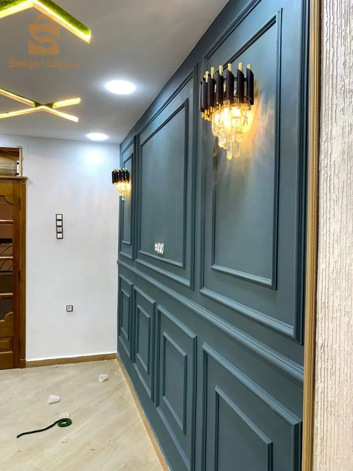 BA13 et électricité et panture