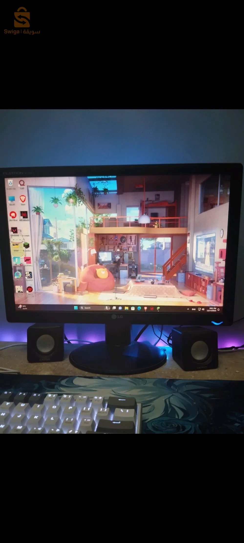 شاشة كمبيوتر