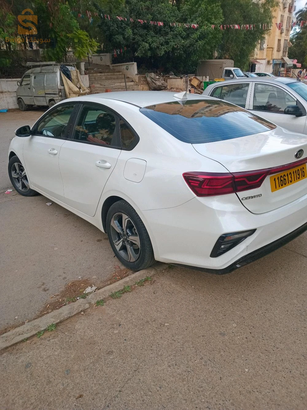 cerato