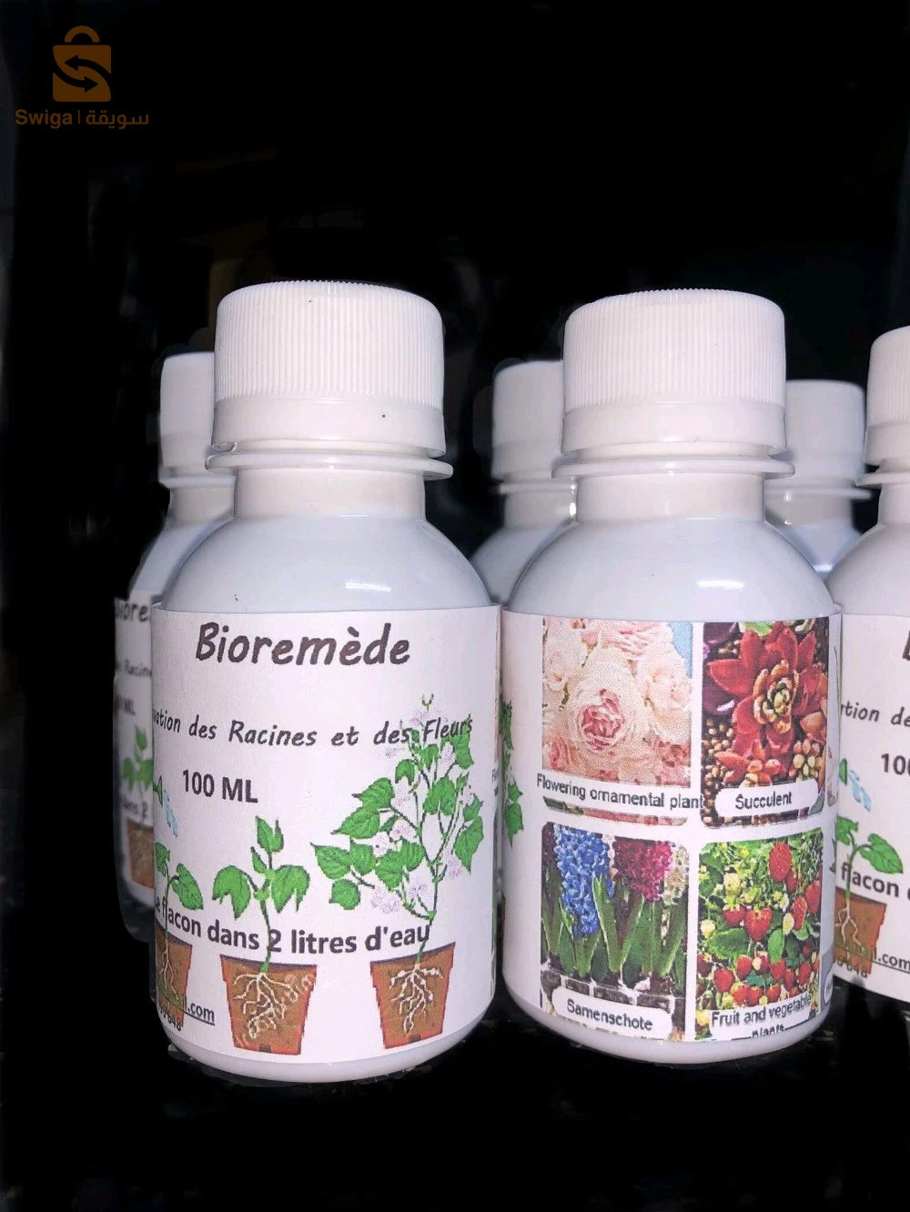 Bioremede des plantes